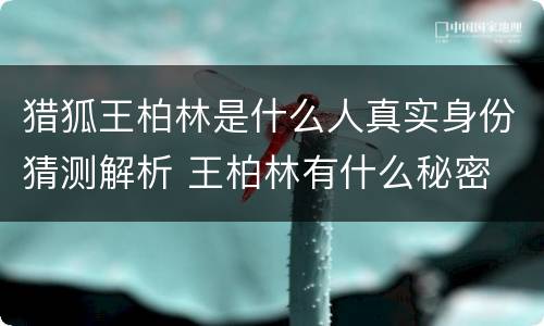 猎狐王柏林是什么人真实身份猜测解析 王柏林有什么秘密