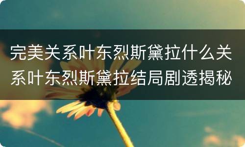 完美关系叶东烈斯黛拉什么关系叶东烈斯黛拉结局剧透揭秘