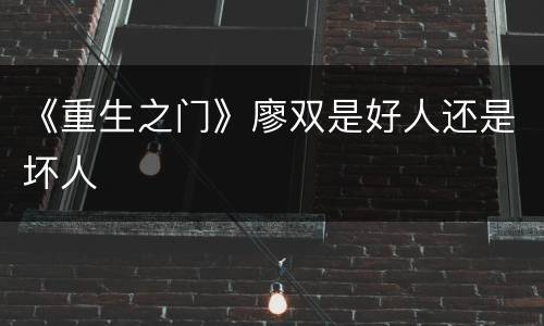 《重生之门》廖双是好人还是坏人