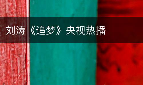 刘涛《追梦》央视热播