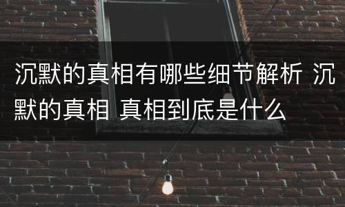 沉默的真相有哪些细节解析 沉默的真相 真相到底是什么