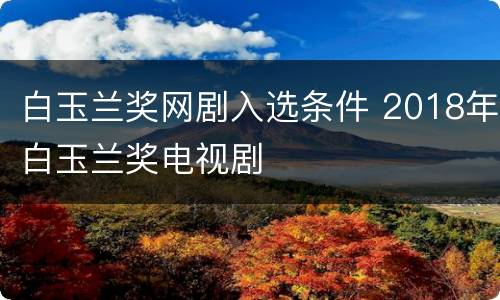 白玉兰奖网剧入选条件 2018年白玉兰奖电视剧