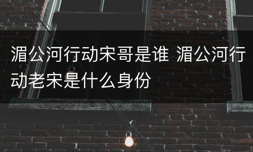 湄公河行动宋哥是谁 湄公河行动老宋是什么身份