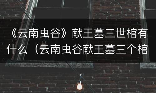 《云南虫谷》献王墓三世棺有什么（云南虫谷献王墓三个棺材）