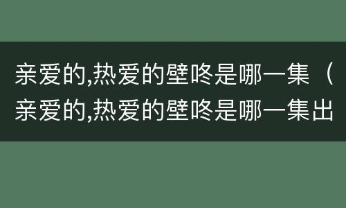 亲爱的,热爱的壁咚是哪一集（亲爱的,热爱的壁咚是哪一集出现的）