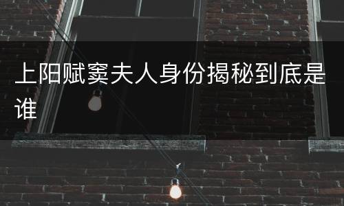 上阳赋窦夫人身份揭秘到底是谁