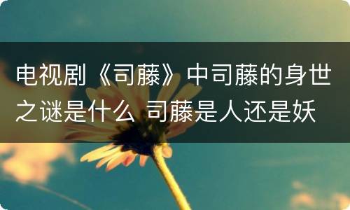 电视剧《司藤》中司藤的身世之谜是什么 司藤是人还是妖