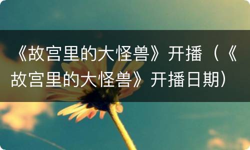 《故宫里的大怪兽》开播（《故宫里的大怪兽》开播日期）