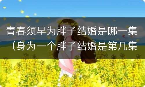 青春须早为胖子结婚是哪一集（身为一个胖子结婚是第几集）