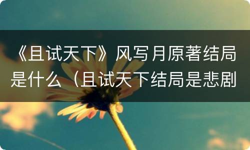 《且试天下》风写月原著结局是什么（且试天下结局是悲剧吗）
