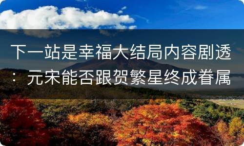 下一站是幸福大结局内容剧透：元宋能否跟贺繁星终成眷属？