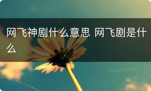 网飞神剧什么意思 网飞剧是什么