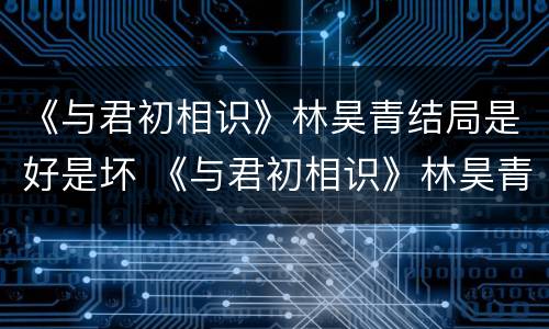 《与君初相识》林昊青结局是好是坏 《与君初相识》林昊青结局是好是坏