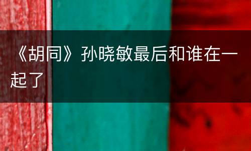 《胡同》孙晓敏最后和谁在一起了