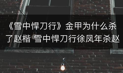 《雪中悍刀行》金甲为什么杀了赵楷 雪中悍刀行徐凤年杀赵楷