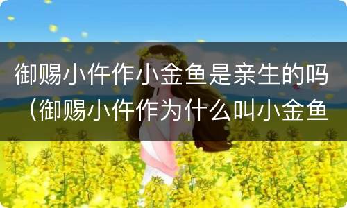 御赐小仵作小金鱼是亲生的吗（御赐小仵作为什么叫小金鱼）