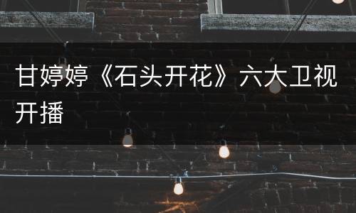 甘婷婷《石头开花》六大卫视开播