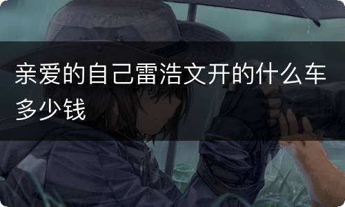 亲爱的自己雷浩文开的什么车多少钱