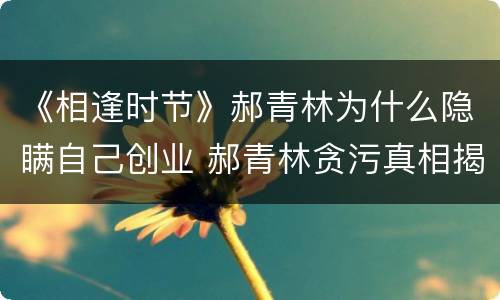 《相逢时节》郝青林为什么隐瞒自己创业 郝青林贪污真相揭秘