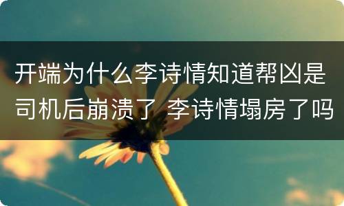 开端为什么李诗情知道帮凶是司机后崩溃了 李诗情塌房了吗