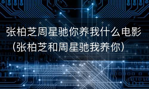 张柏芝周星驰你养我什么电影（张柏芝和周星驰我养你）
