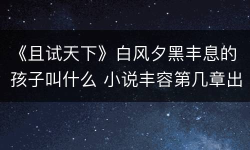 《且试天下》白风夕黑丰息的孩子叫什么 小说丰容第几章出现