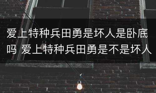 爱上特种兵田勇是坏人是卧底吗 爱上特种兵田勇是不是坏人