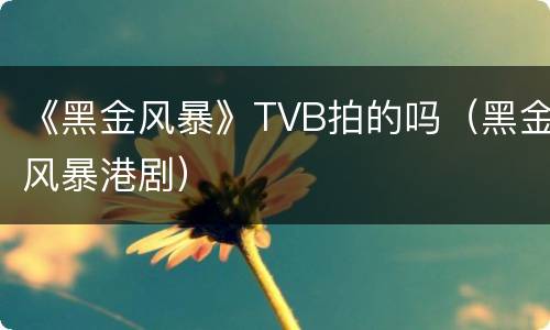 《黑金风暴》TVB拍的吗（黑金风暴港剧）