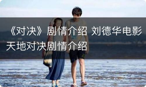 《对决》剧情介绍 刘德华电影天地对决剧情介绍