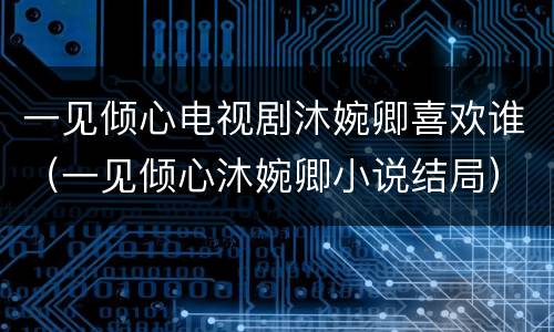 一见倾心电视剧沐婉卿喜欢谁（一见倾心沐婉卿小说结局）