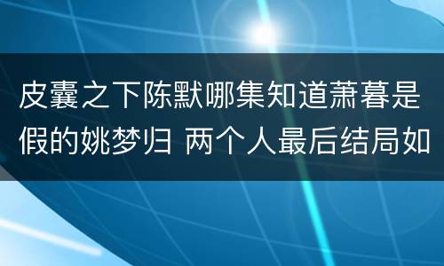 皮囊之下陈默哪集知道萧暮是假的姚梦归 两个人最后结局如何