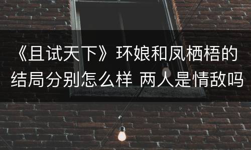 《且试天下》环娘和凤栖梧的结局分别怎么样 两人是情敌吗