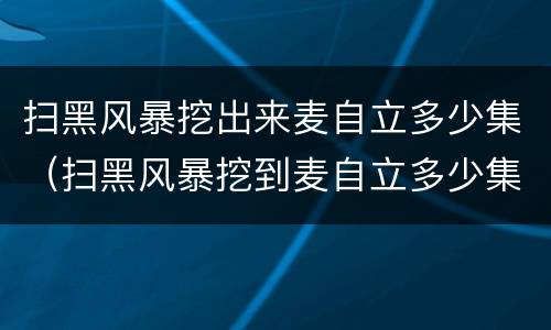 扫黑风暴挖出来麦自立多少集（扫黑风暴挖到麦自立多少集）
