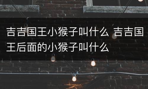 吉吉国王小猴子叫什么 吉吉国王后面的小猴子叫什么