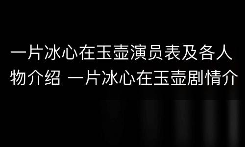 一片冰心在玉壶演员表及各人物介绍 一片冰心在玉壶剧情介绍|剧情简介
