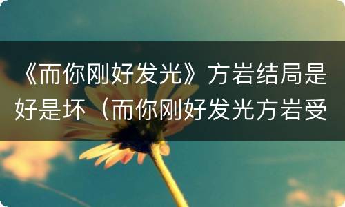 《而你刚好发光》方岩结局是好是坏（而你刚好发光方岩受伤）