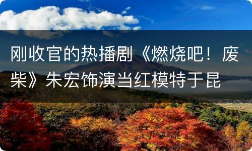刚收官的热播剧《燃烧吧！废柴》朱宏饰演当红模特于昆