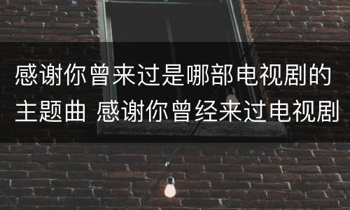 感谢你曾来过是哪部电视剧的主题曲 感谢你曾经来过电视剧名字
