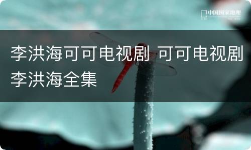 李洪海可可电视剧 可可电视剧李洪海全集