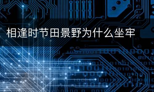 相逢时节田景野为什么坐牢