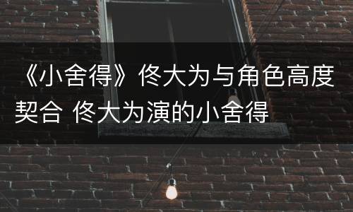 《小舍得》佟大为与角色高度契合 佟大为演的小舍得