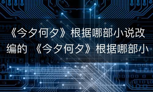 《今夕何夕》根据哪部小说改编的 《今夕何夕》根据哪部小说改编的
