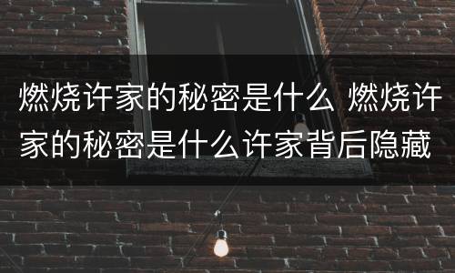 燃烧许家的秘密是什么 燃烧许家的秘密是什么许家背后隐藏的真相揭秘令人吃惊