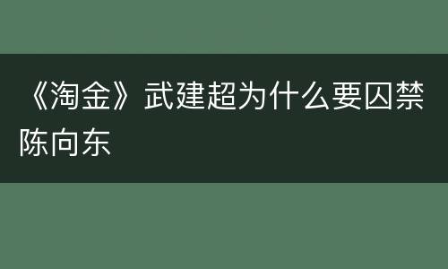 《淘金》武建超为什么要囚禁陈向东