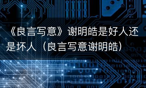 《良言写意》谢明皓是好人还是坏人（良言写意谢明皓）