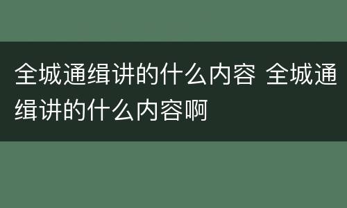 全城通缉讲的什么内容 全城通缉讲的什么内容啊