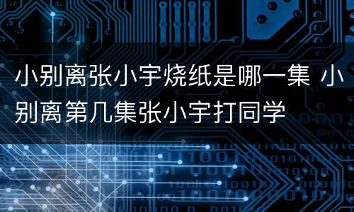 小别离张小宇烧纸是哪一集 小别离第几集张小宇打同学