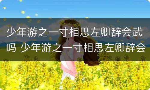 少年游之一寸相思左卿辞会武吗 少年游之一寸相思左卿辞会不会武功