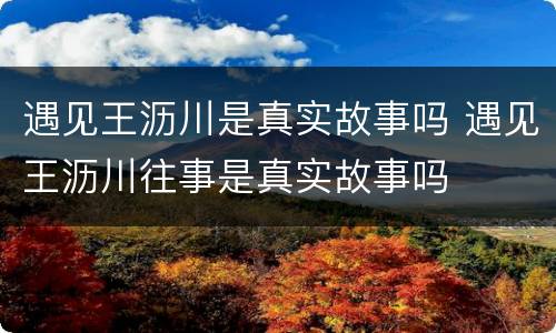 遇见王沥川是真实故事吗 遇见王沥川往事是真实故事吗