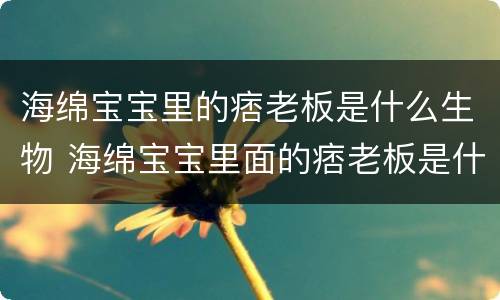 海绵宝宝里的痞老板是什么生物 海绵宝宝里面的痞老板是什么生物
